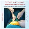 سلول بنیادی 9