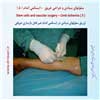 سلول بنیادی 12