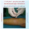 سلول بنیادی 15