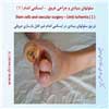 سلول بنیادی 8