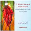 انوریسم کاروتید داخلی 3